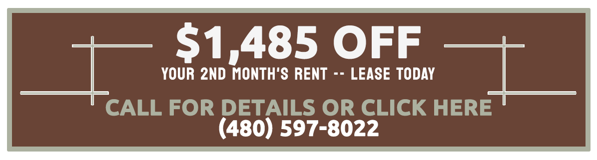 Club 715 | Apartments For Rent in Mesa, AZ | Move In Specials Club 715 | Apartments For Rent in Mesa, AZ | Move In Specials